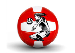 Volleyball Games Manufacturer